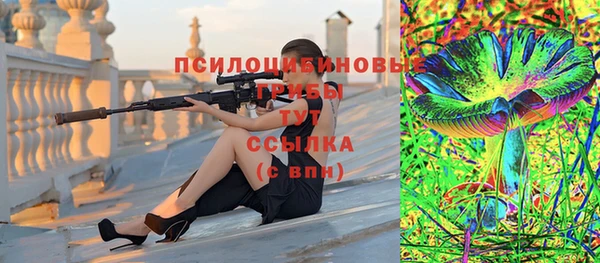 стаф Абдулино