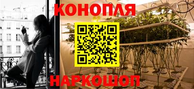 молекула духа Лесосибирск