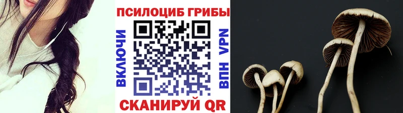 купить наркоту  Новоалтайск  Псилоцибиновые грибы мицелий 