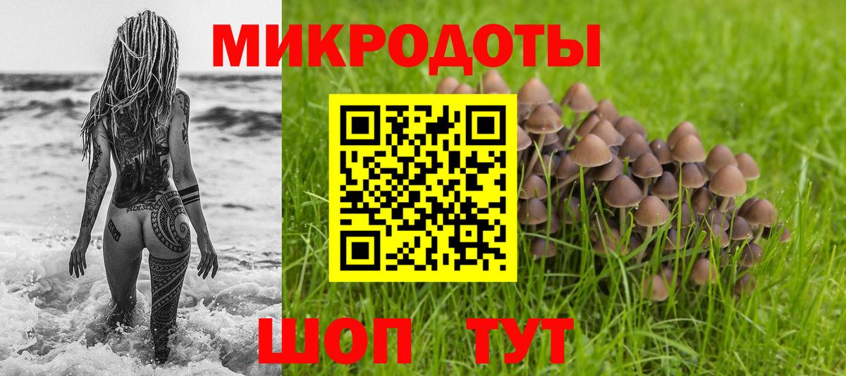 Псилоцибиновые грибы Magic Shrooms  Вход с VPN  Новоалтайск 