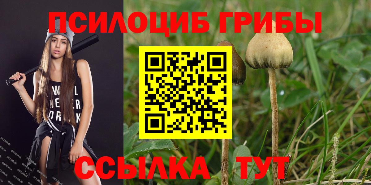 Галлюциногенные грибы MAGIC MUSHROOMS Новоалтайск